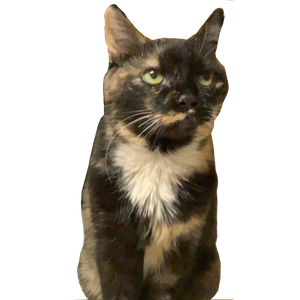 Fundraising Page: Jonas Murray